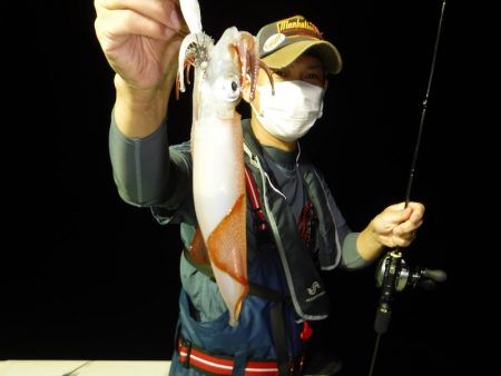 ＢｌｕｅＮｏｔｅ　Ｆｉｓｈｉｎｇ　Ｔａｘｉ…