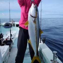 ひな丸 釣果