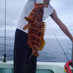 ひな丸 釣果