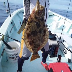 ひな丸 釣果