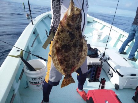 ひな丸 釣果