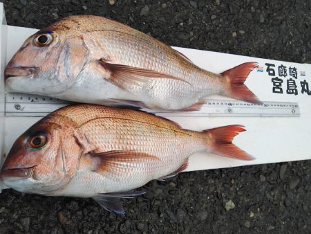 宮島丸 釣果