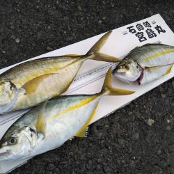 宮島丸 釣果