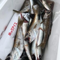 もと明丸 釣果