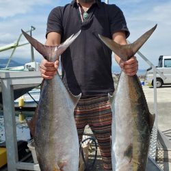 ゆたか丸 釣果