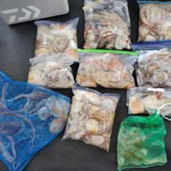 武士(SAMURAI) 釣果