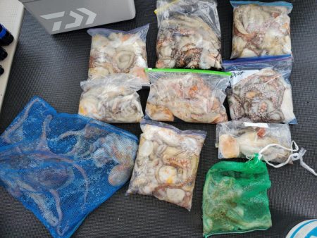 武士(SAMURAI) 釣果