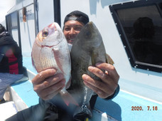 七福丸 釣果
