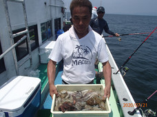 七福丸 釣果