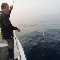 ジギング船 BLUEWATER 釣果