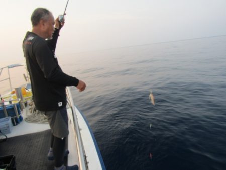 ジギング船 BLUEWATER 釣果