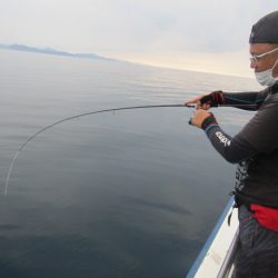 ジギング船 BLUEWATER 釣果