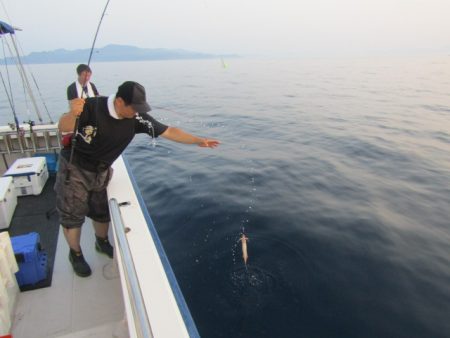 ジギング船 BLUEWATER 釣果