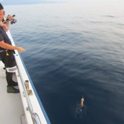 ジギング船 BLUEWATER 釣果