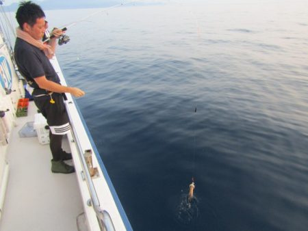 ジギング船 BLUEWATER 釣果