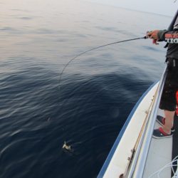 ジギング船 BLUEWATER 釣果