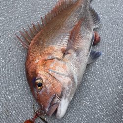 まるいち丸 ZERO-1 釣果