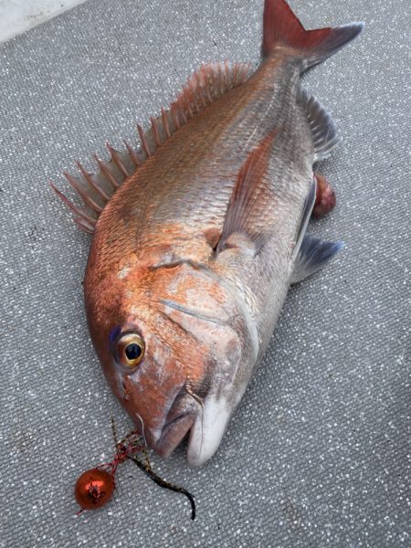 まるいち丸 ZERO-1 釣果