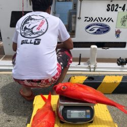 番匠高宮丸 釣果