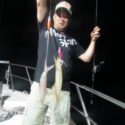 ジギング船 BLUEWATER 釣果