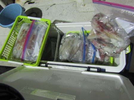 ジギング船 BLUEWATER 釣果