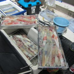 ジギング船 BLUEWATER 釣果