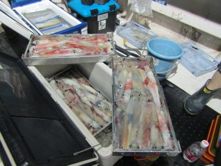 ジギング船 BLUEWATER 釣果