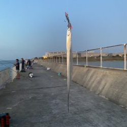 やっと釣れたけど、、