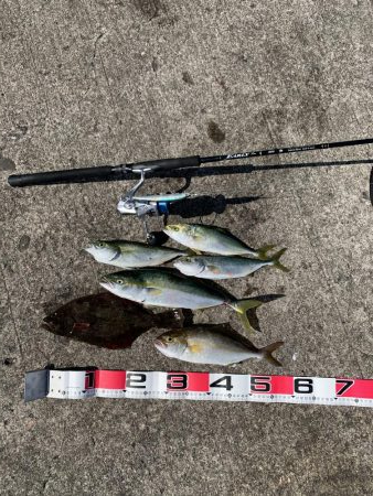 ショアジギング