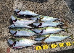 ジギング楽しい～