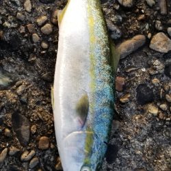 ルアーフィッシング