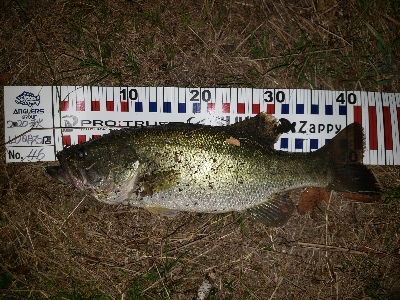 ひさびさの琵琶湖以外！！