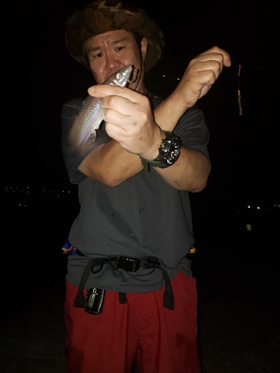 何十年ぶりかの