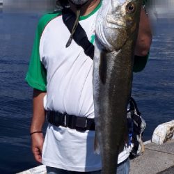 ルアーチェンジしたら、ばくっと