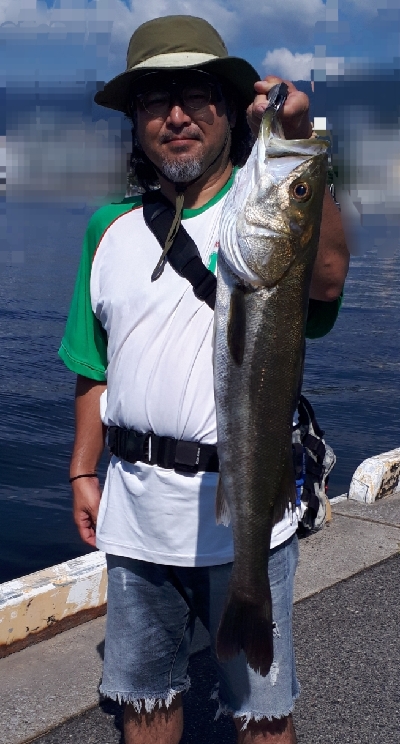 ルアーチェンジしたら、ばくっと