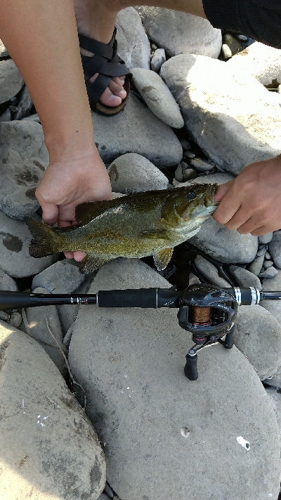 スモールマウスバス