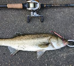 停泊船ゲーム真夏の昼下がり