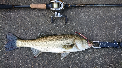 停泊船ゲーム真夏の昼下がり