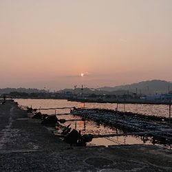 キス釣り、五目釣り