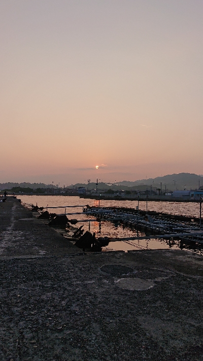 キス釣り、五目釣り