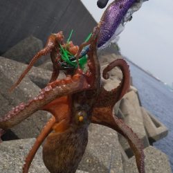 結構釣れました