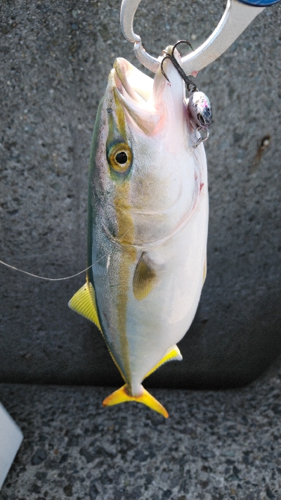 暑いけど粘れば何とか