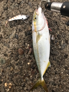 大きくなって帰って来い！