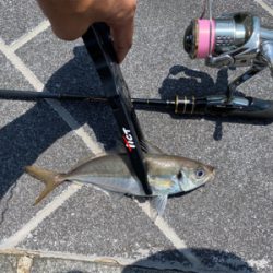 貸し切りデイアジング