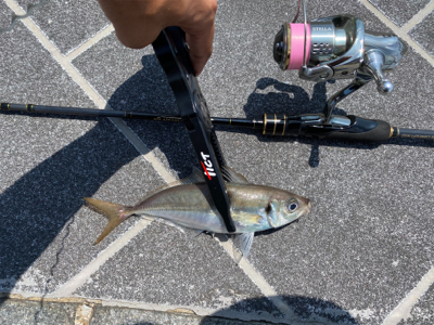 貸し切りデイアジング