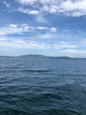 オフショアジギング