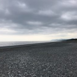 巨大キスを求めて尾鷲へ‼️