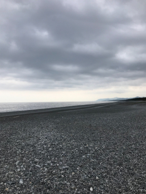 巨大キスを求めて尾鷲へ‼️