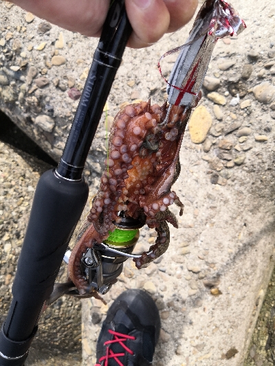 休日はタコより人が多い