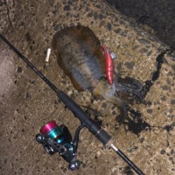 親父たちの釣行　大阪岬町編‼️